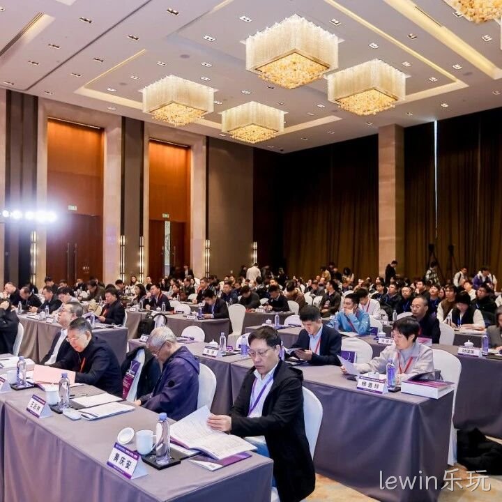 lewin乐玩</a>参加2025智能微系统研讨会