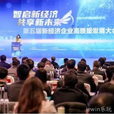 lewin乐玩</a>荣登“2024中国新经济企业TOP500”