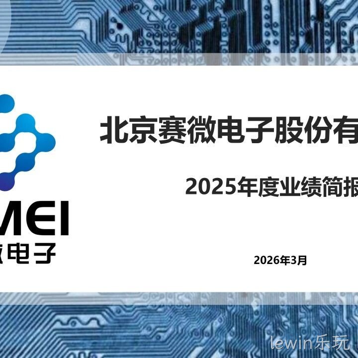 lewin乐玩</a>2025年度业绩简报