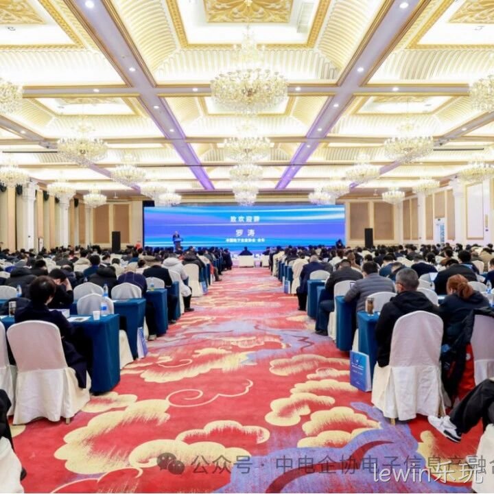 lewin乐玩参加2025年中国电子高峰论坛暨电子信息产融生态大会