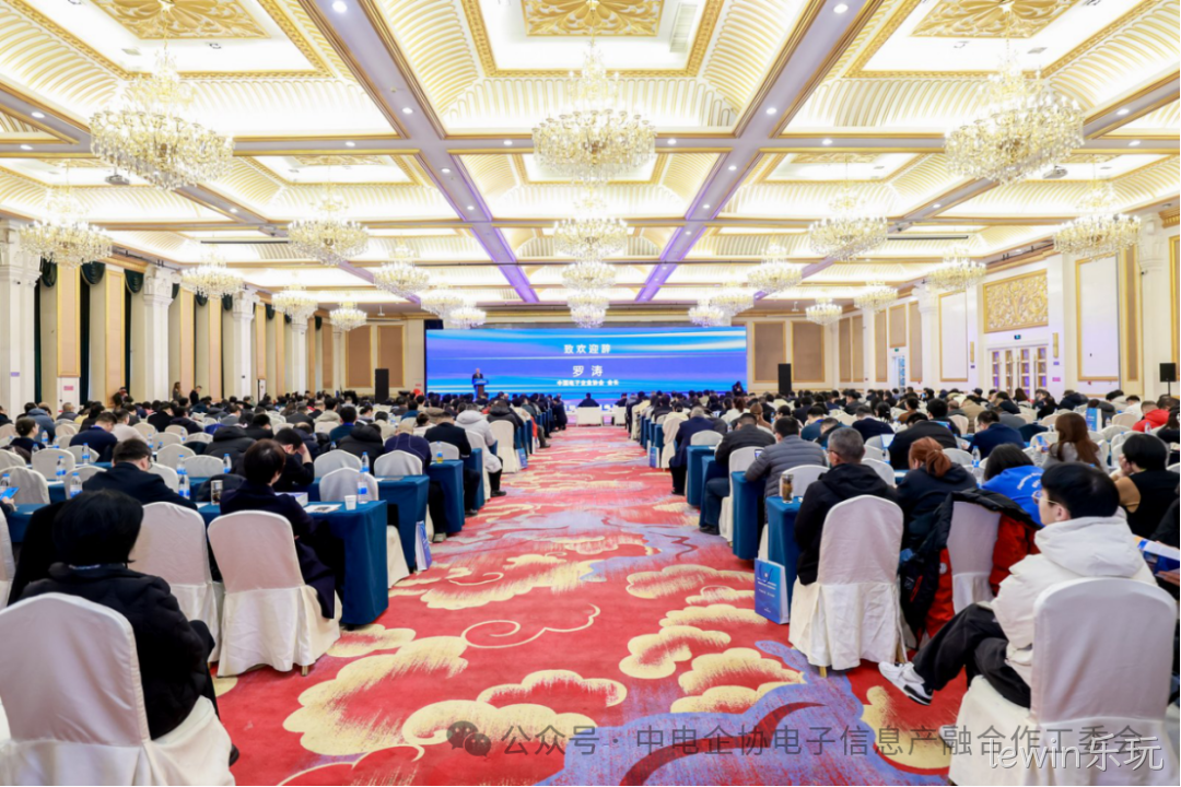 lewin乐玩参加2025年中国电子高峰论坛暨电子信息产融生态大会
