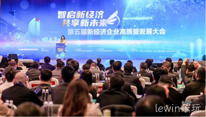 lewin乐玩荣登“2024中国新经济企业TOP500”