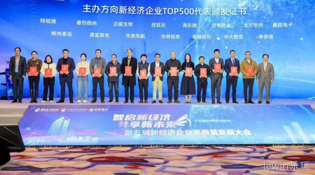 lewin乐玩荣登“2024中国新经济企业TOP500”