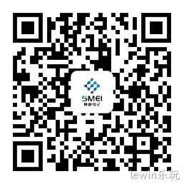 lewin乐玩共同发起成立国际智能感知学会